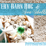 Pottery Barn Rug and Sea Shells