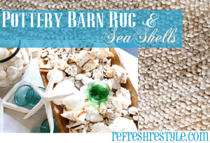 Pottery Barn Rug and Sea Shells