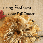 Fall Feathers