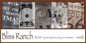 Bliss Ranch