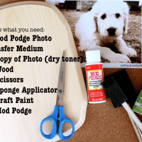 Mod Podge Supplies