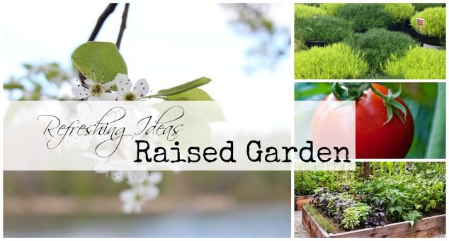 Garden-raided-garden.jpg