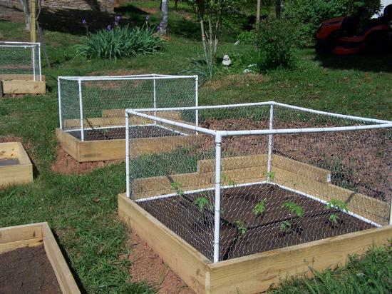 could deter small critters with a cute DIY fence.