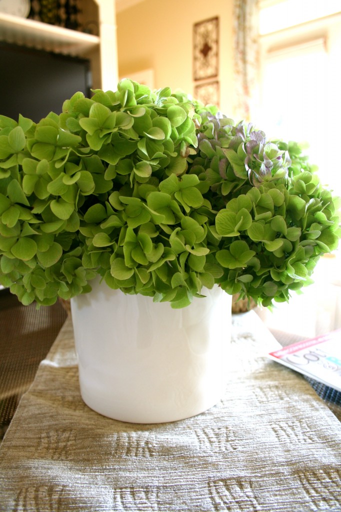 How to dry hydrangeas