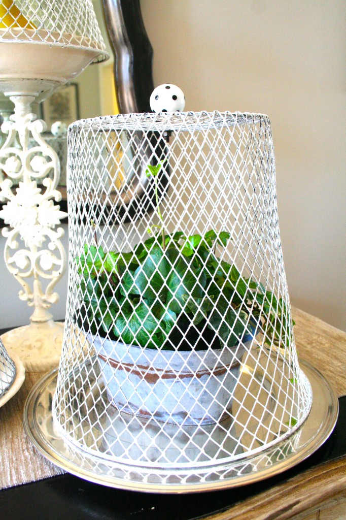 Chicken Wire Cloche painted with Annie Sloan Chalk Paint