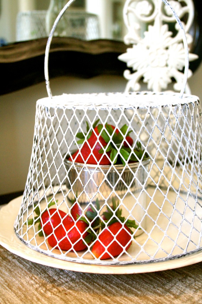 Chicken Wire Cloche painted with Annie Sloan Chalk Paint