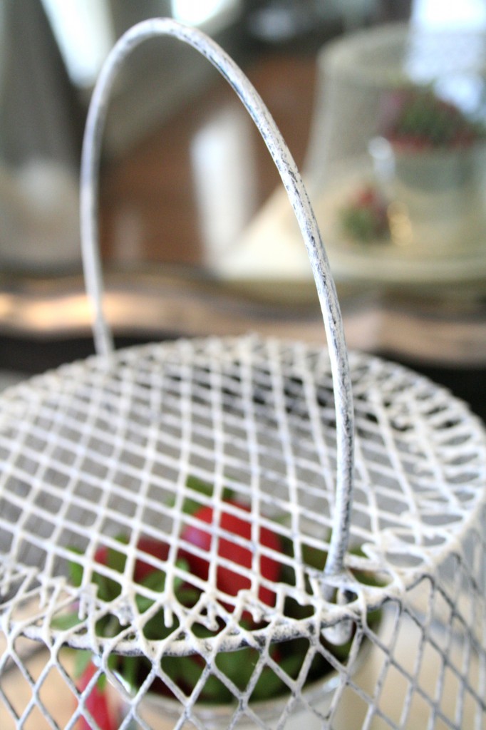 Chicken Wire Cloche painted with Annie Sloan Chalk Paint