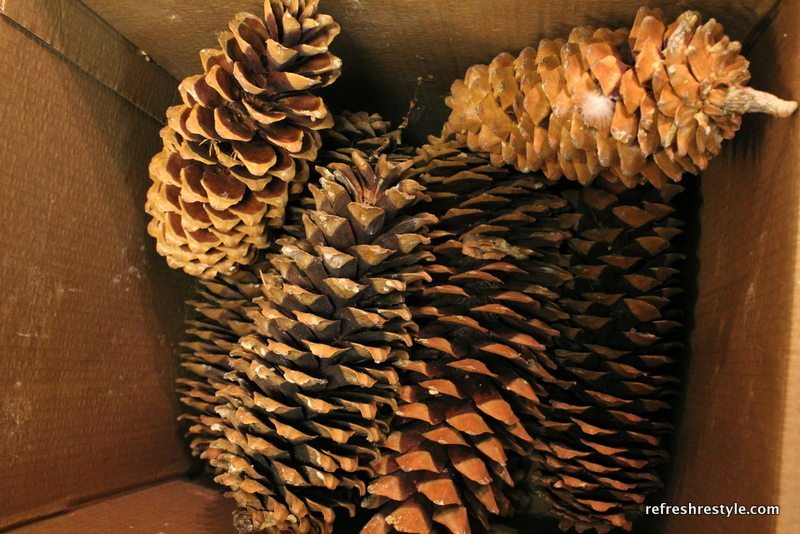 Before crafting be sure to bake your pine cones