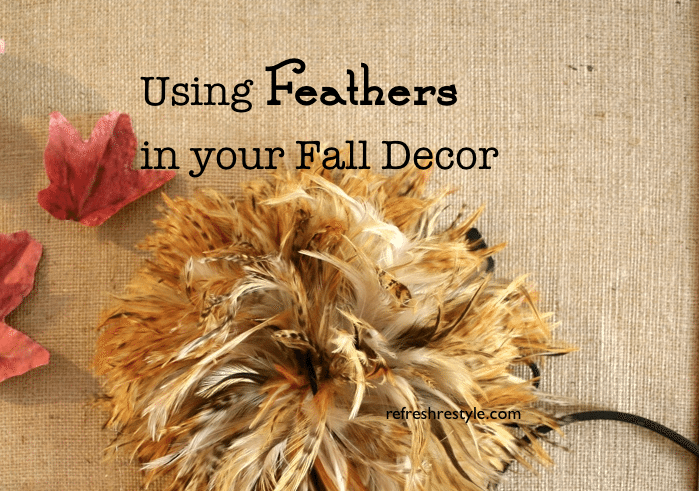 Fall Feathers