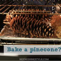 how to bake a pinecone