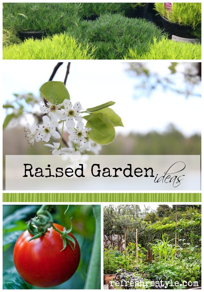 Raised Garden Ideas