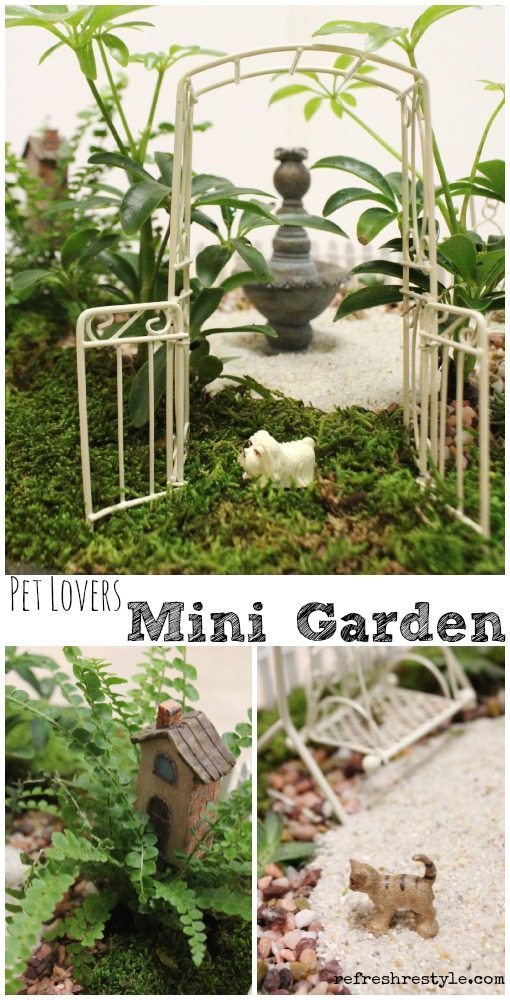 Miniature garden with pets included!