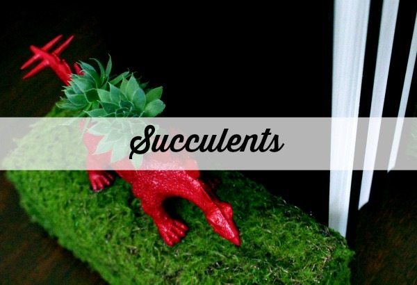 dino bookends with succulents