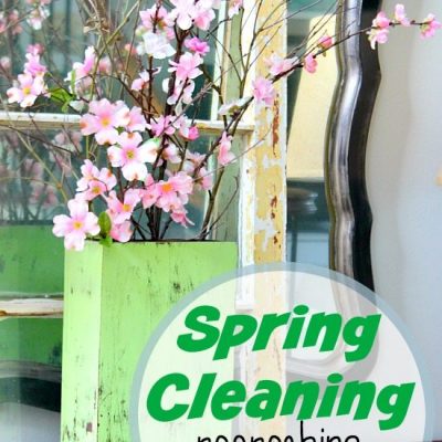 Spring Cleaning All Natural with Steam