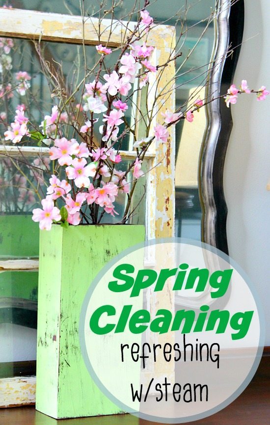 Spring Cleaning All Natural with Steam