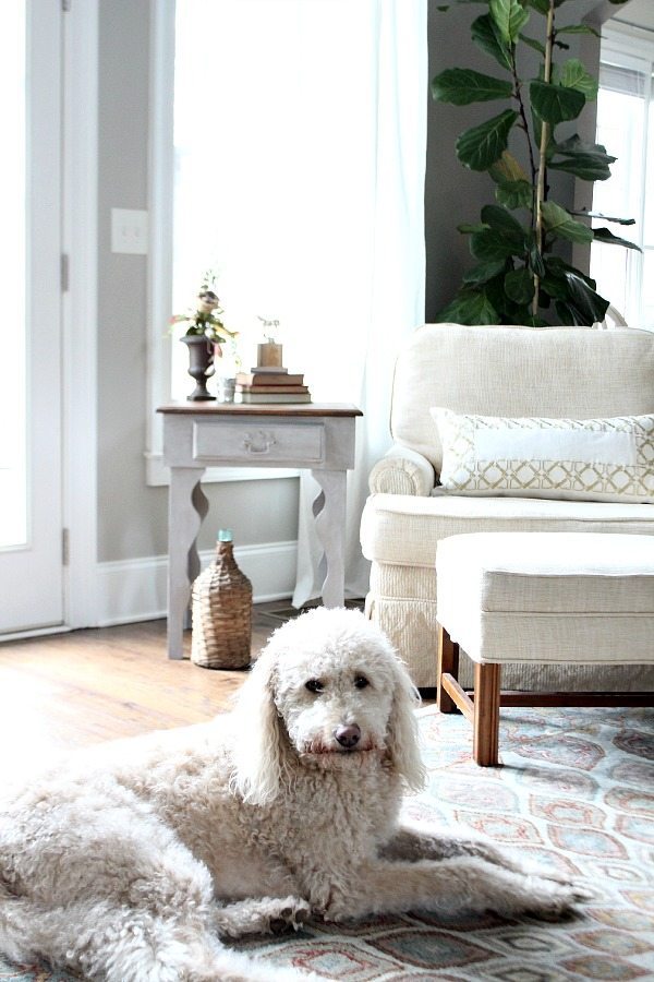 Curvy side table makeover Maison Blanche - Pecan and waxed with White Chalk Lime Wax