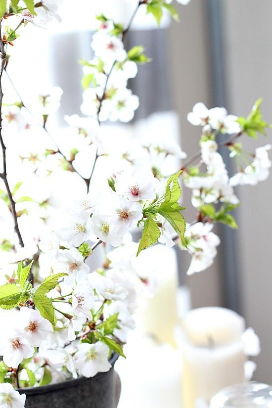 Spring flowers for the table