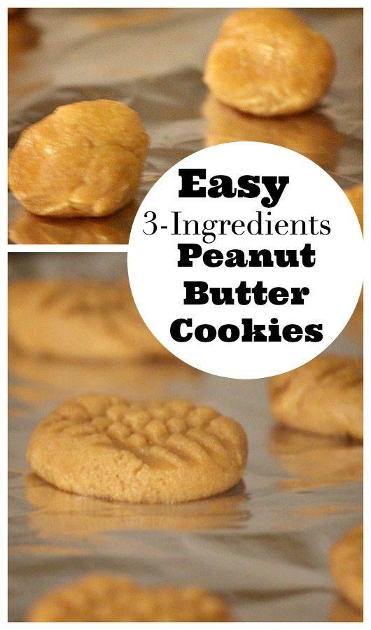Easy 3 Ingredients Peanut Butter Cookies Recipe