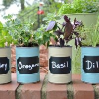 This-DIY-Kitchen-Herb-Garden-is-a-great-upcycled-gardening-project.-It-would-be-a-sweet-Mothers-Day-gift