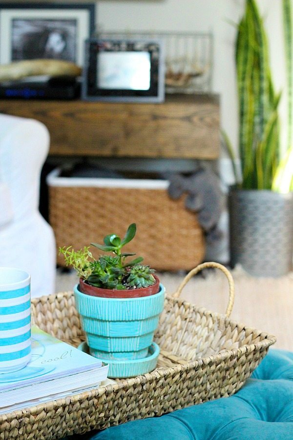 Tray Baskets-for-storage-in-decor