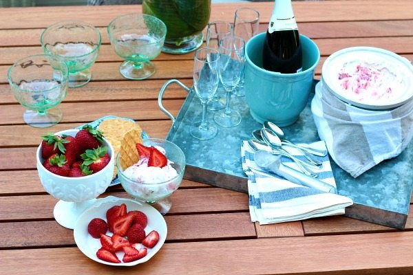 Summer Dessert Strawberry Ice Cream served in Birch Lane Seeger Ice Cream Bowls 