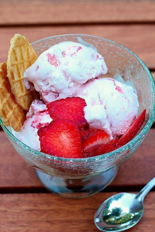 sugar free homemade strawberry ice cream