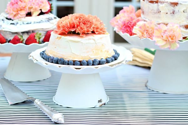 Blue Berries and Carnations Decor Steals Decor Ingenuity