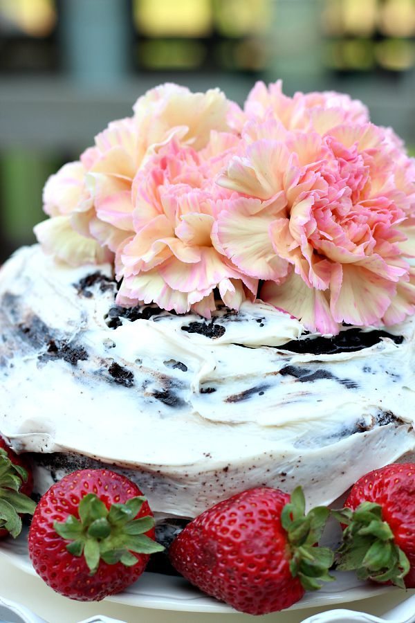 Chocolate Naked cake with Strawberries Decor Steals Design Ingenuity