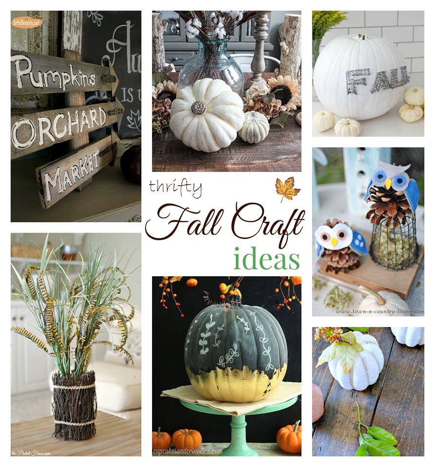 Thrifty Craft Ideas