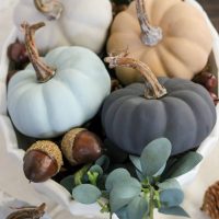 Vintage-Chalky-Finish-Paint-Pumpkins-beautiful-neutral-colors-for-fall