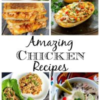 11 Amazing Chicken Recipes