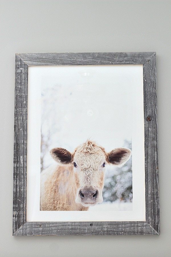 Minted Art Print Moo Cow in guest room at refreshrestyle.com