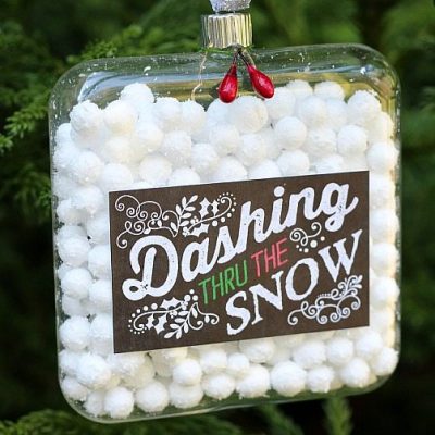 Snow Ball Ornament