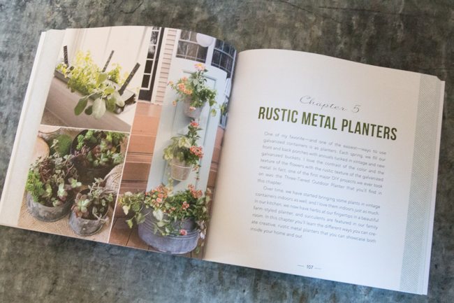 Rustic-Metal-Planters_edited-1