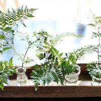 Barn wood do it yourself planter box great for table - centerpiece filled with ferns