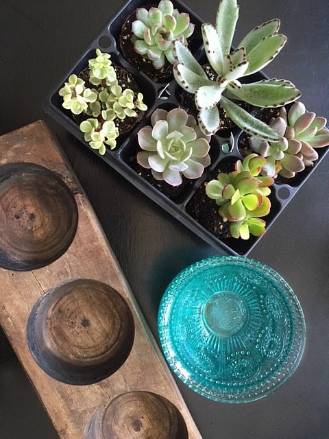 How to Succulents in Pioneer Woman bowl in a vintage sugar mold from Refresh Restyle