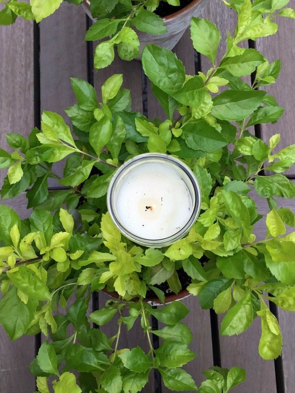 Aged clay pots filled with plants and candles