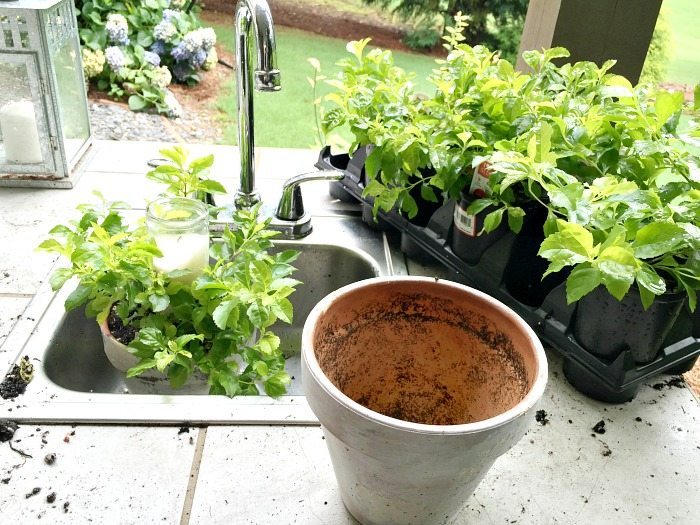 Garden pots with Candles