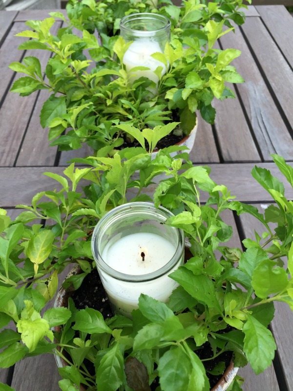 Gardens pots filled with greenery and candles for a centerpiece