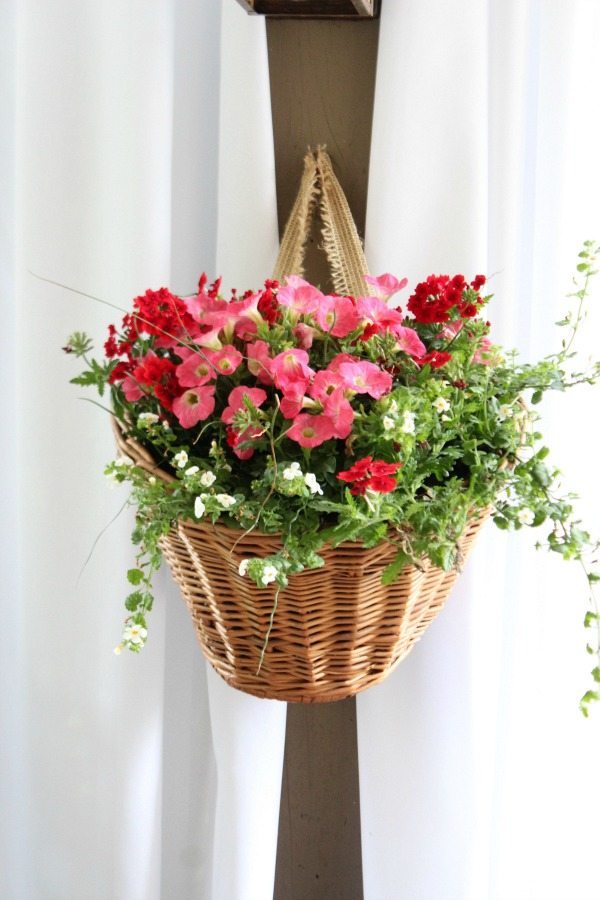 How to use a Bicycle basket as planter - a thrift store makeover for outdoor decor at refreshrestyle.com