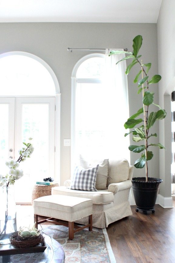 Light and bright space perfect for the fiddle leaf fig tree summer decor at Refresh Restyle