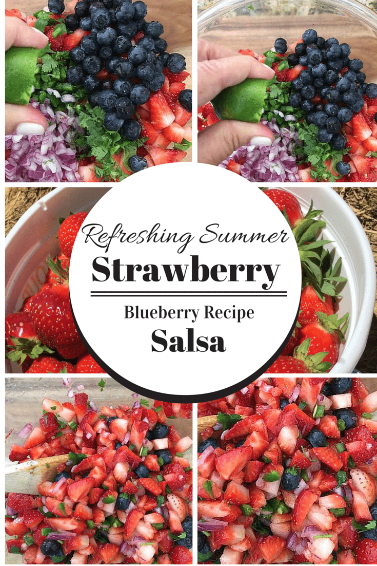 Strawberry Blueberry Refreshing Summer Salsa