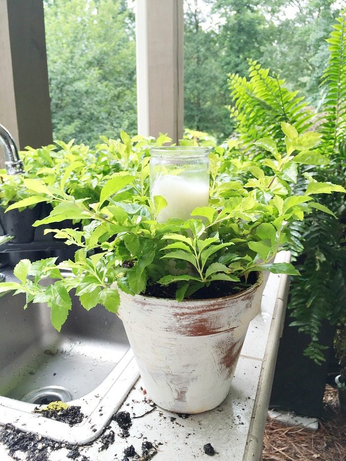 Summer centerpiece - garden pots with plants and candles