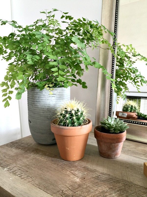 Plants are perfect for any space - fresh look in this Navy and white farmhouse bedroom at Refresh Restyle