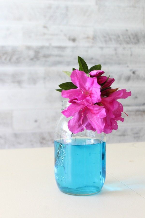 Mason jars filled with blue water makes a really pretty vase