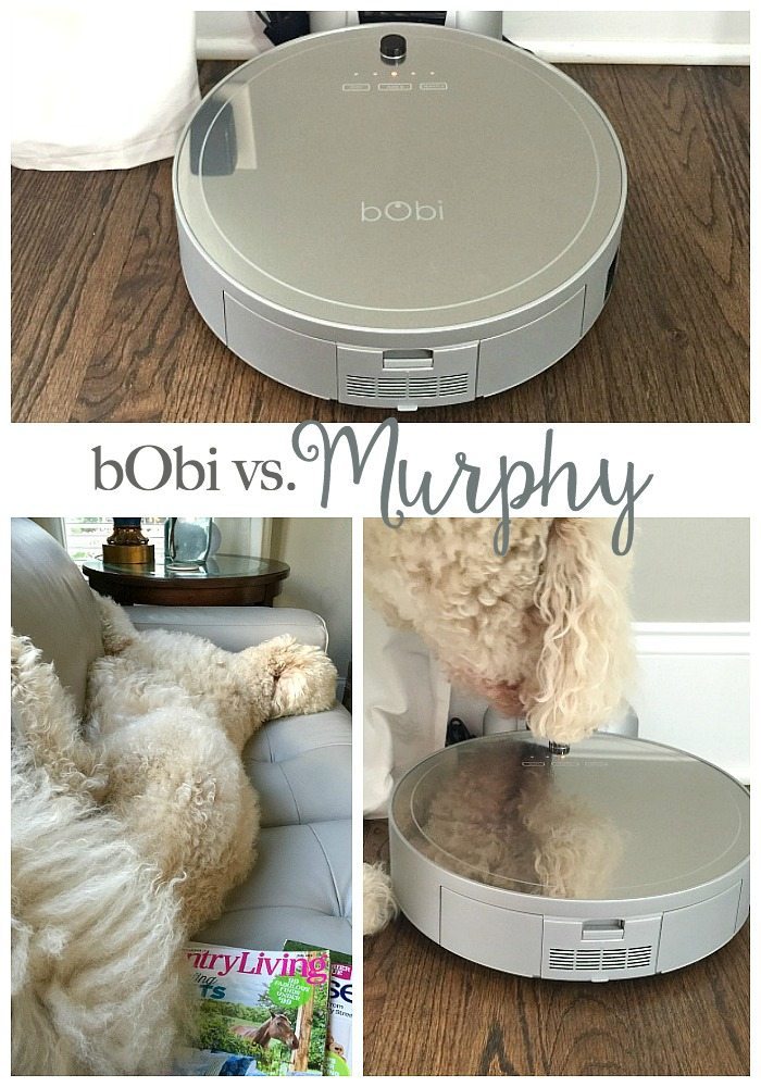 Robot vacuum - bObi Pet by bObsweep review