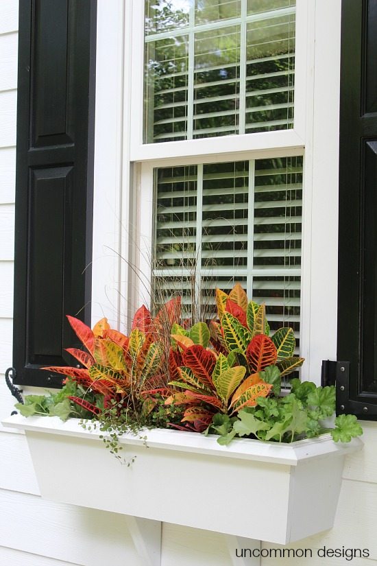 Fall Window Box