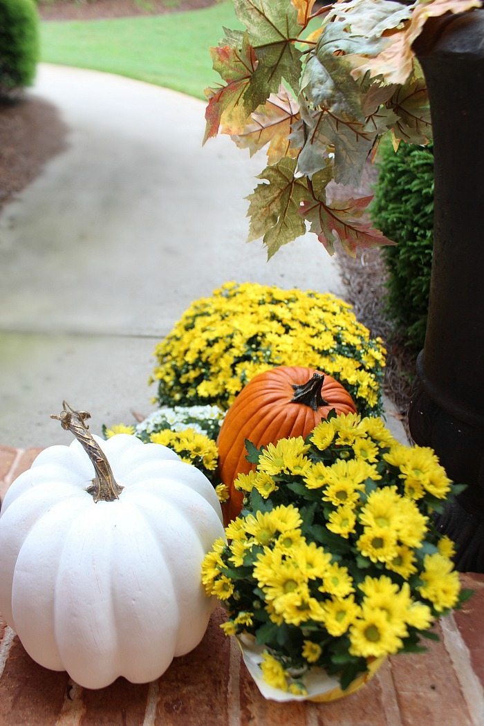 mix-of-pumpkins-and-mums-for-the-fall-front-door