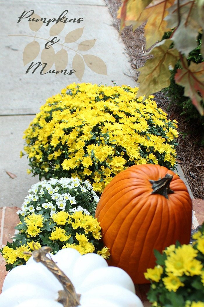 pumpkins-and-mums-are-perfect-for-fall-front-porch-decorating