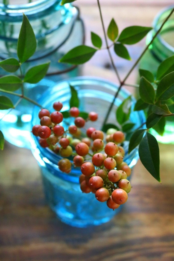 blue-mason-jars-filled-with-fall-berries